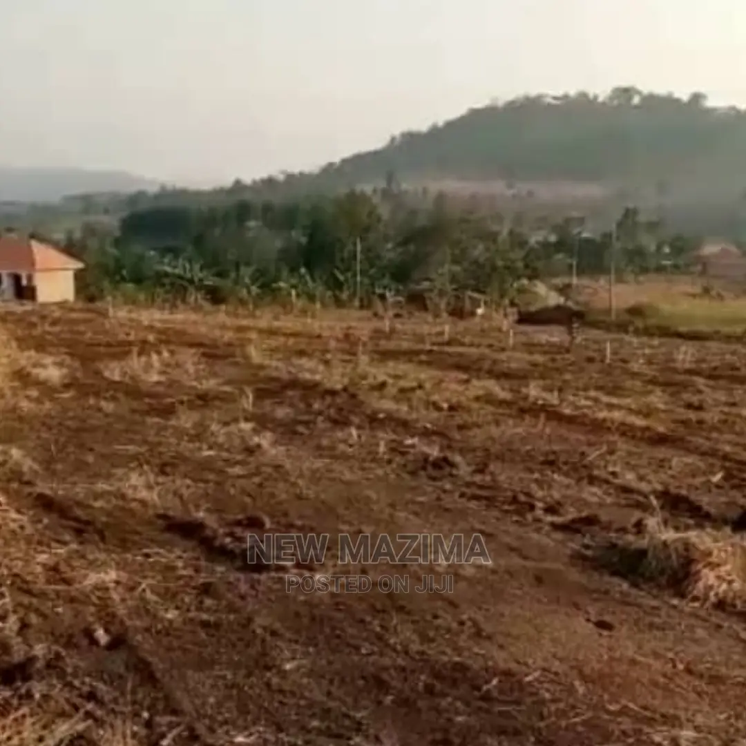 Bujjuko Town Plots at Give Away Prices With Power at Site in Division A