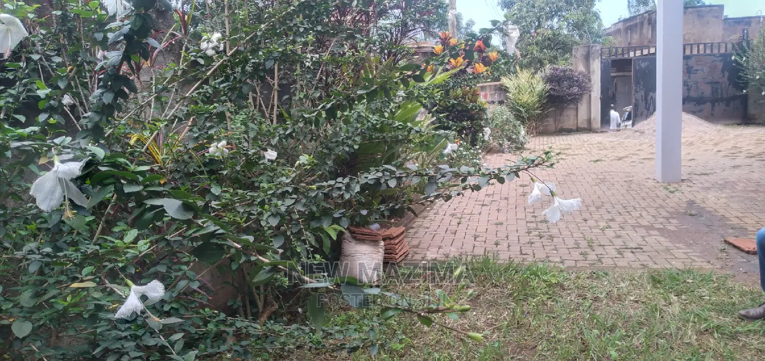 4bdrm Block of Flats in Nkumba Heights, Central Division for Sale in Central Division