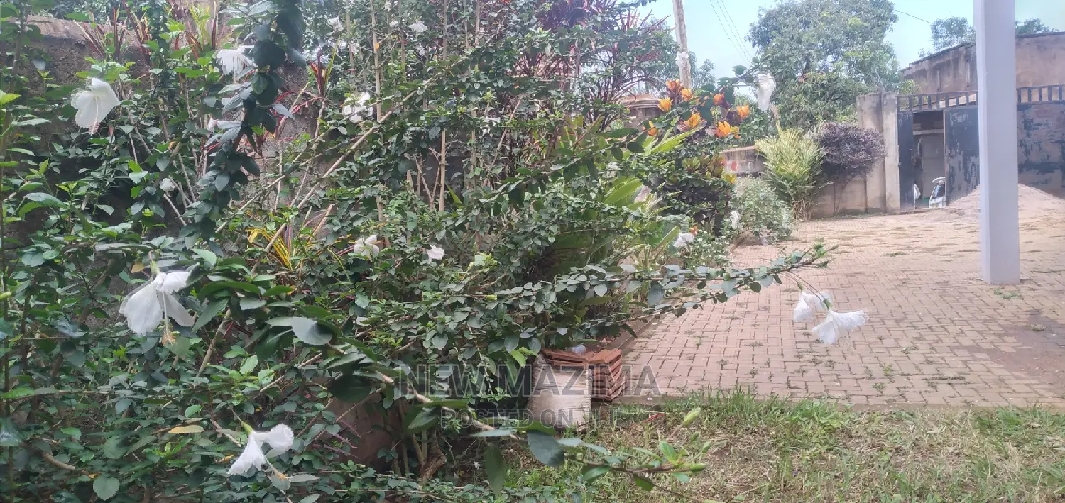 4bdrm Block of Flats in Nkumba Heights, Central Division for Sale in Central Division