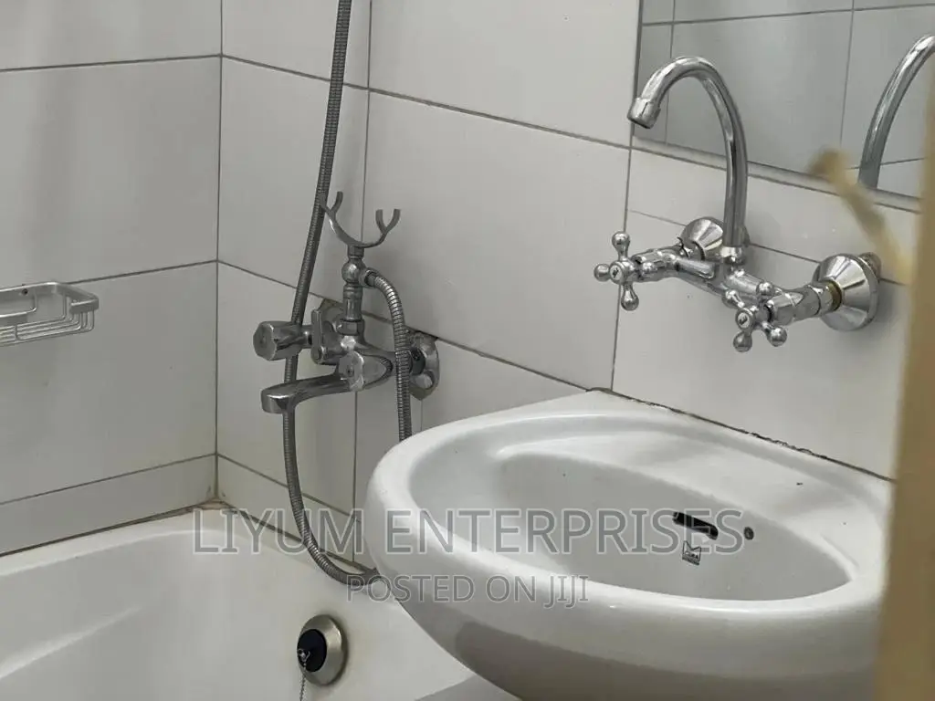 Fully Furnished Apartment in Central Division