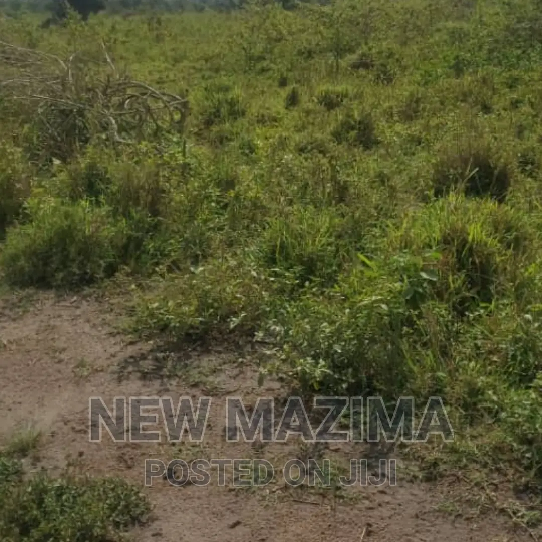 Very Strategic 1 Square Mile in Nakasongola Lugolodde in Central Division