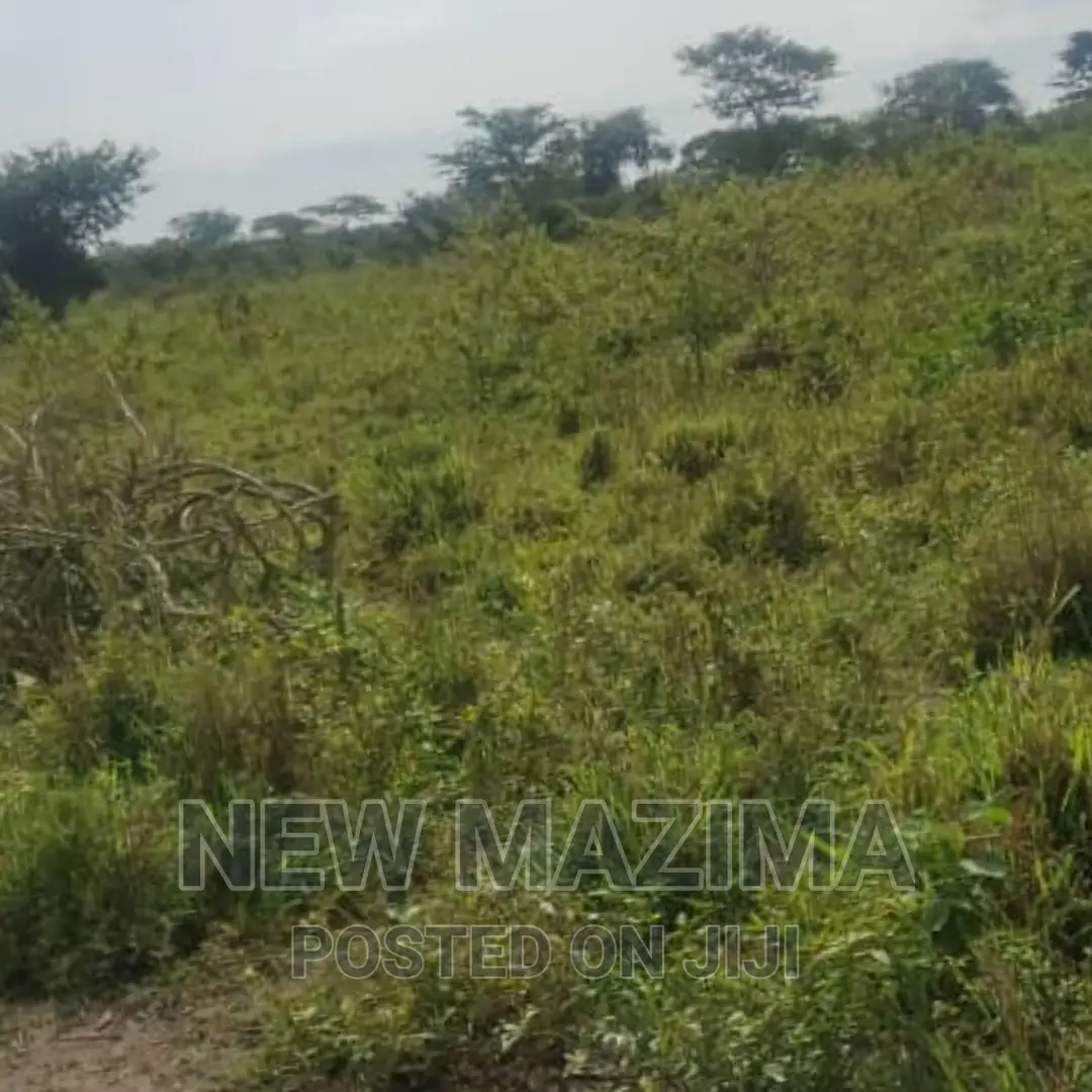 Very Strategic 1 Square Mile in Nakasongola Lugolodde in Central Division