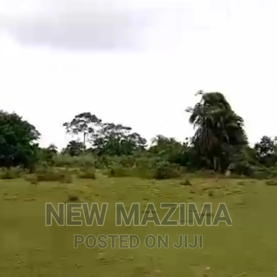 Very Strategic 80 Acres Onquicksale Masaka Kalisizo Kakyanga in Central Division