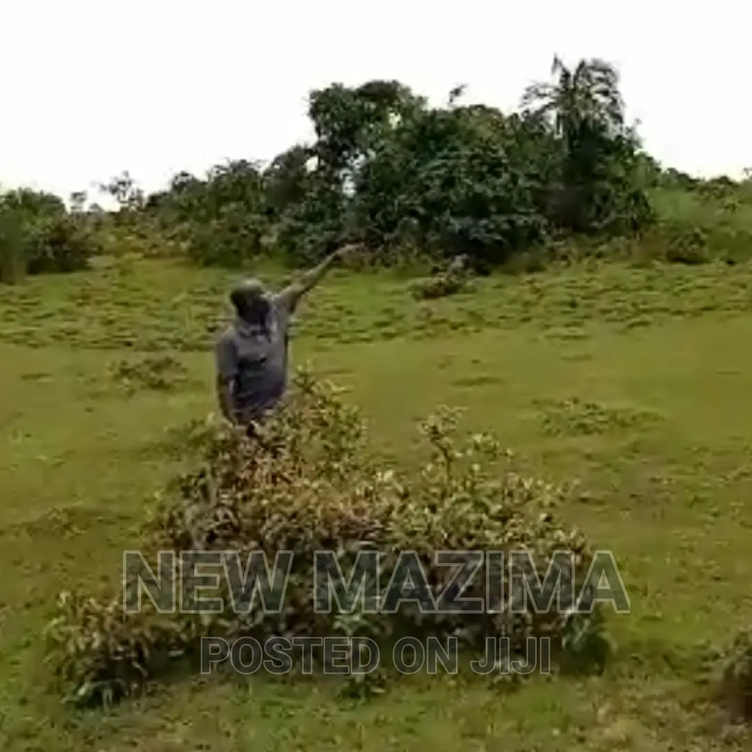 Very Strategic 80 Acres Onquicksale Masaka Kalisizo Kakyanga in Central Division