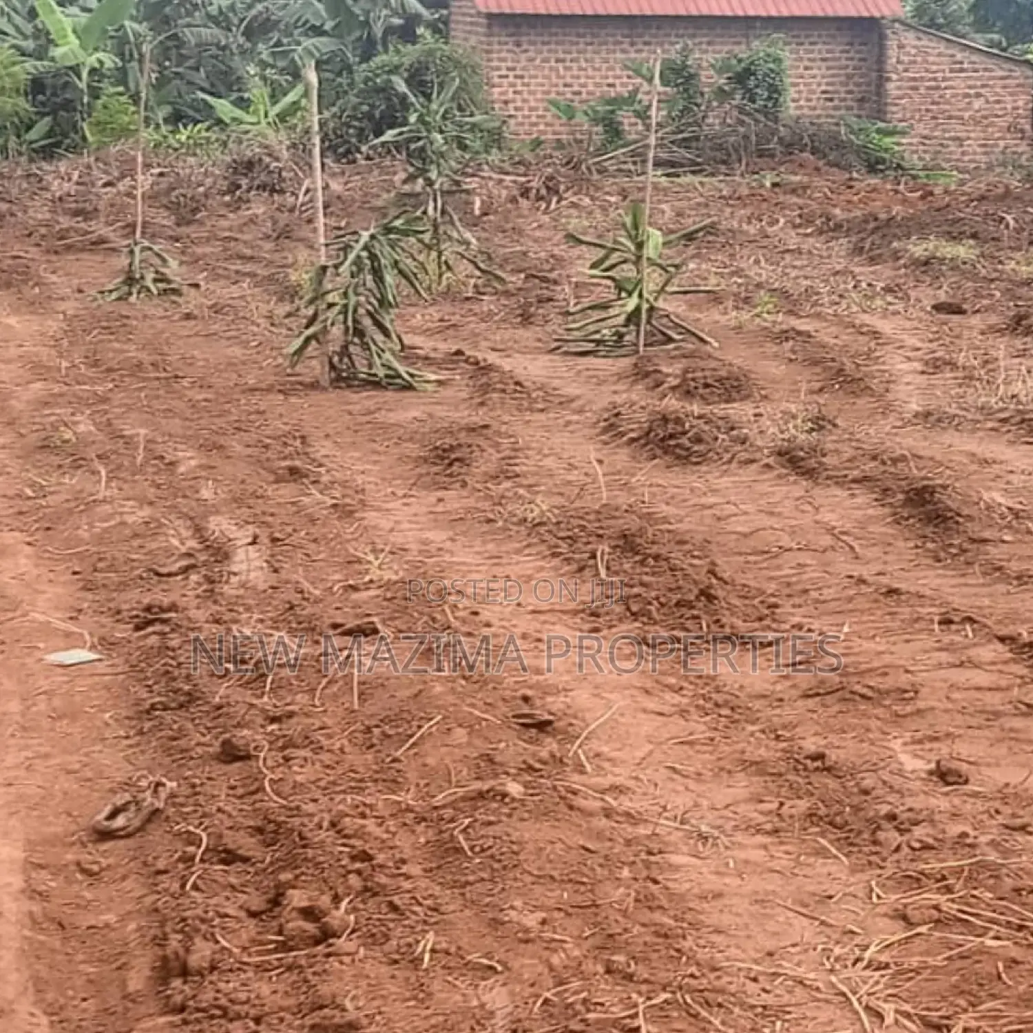 Affordable Plots On Quicksale In The Heart Of Matuga Kiwebwa in Division A