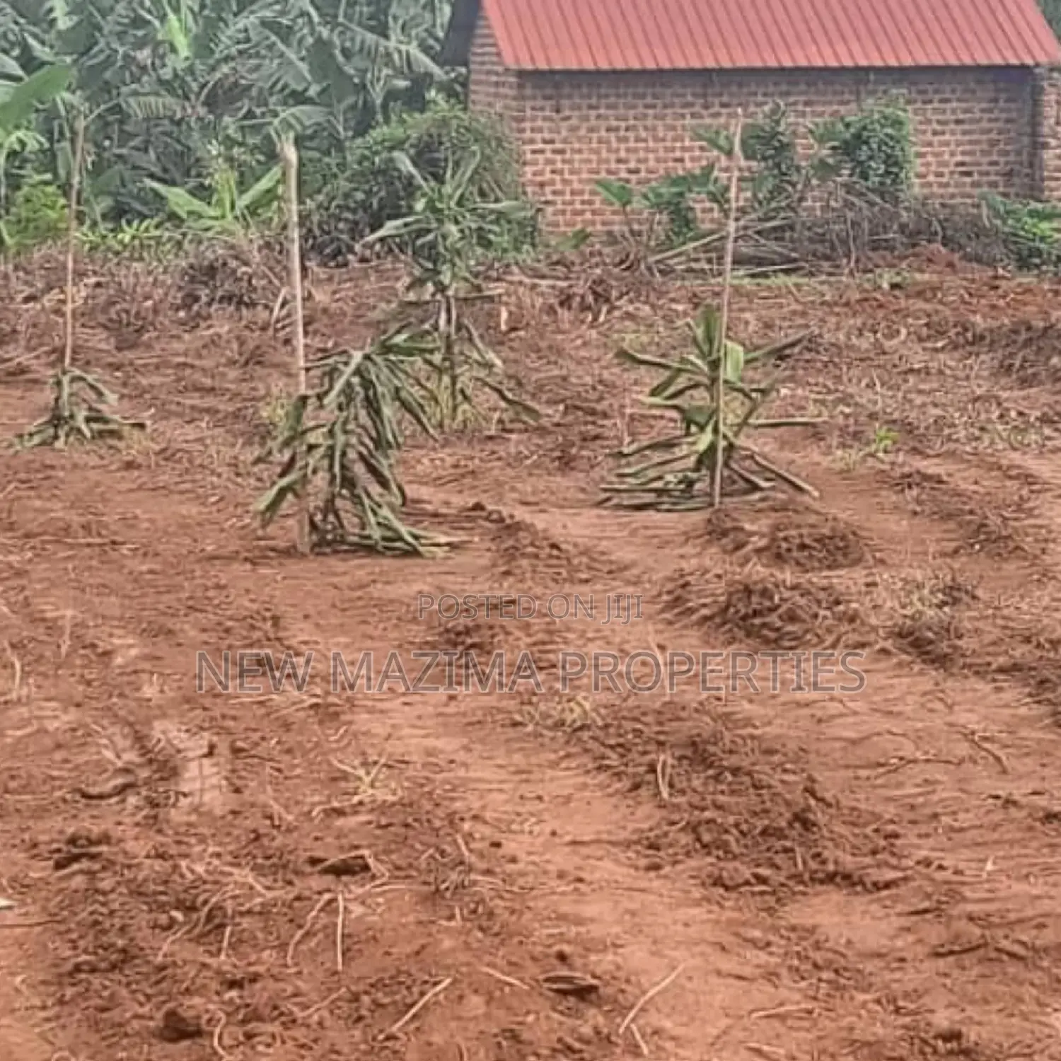Affordable Plots On Quicksale In The Heart Of Matuga Kiwebwa in Division A