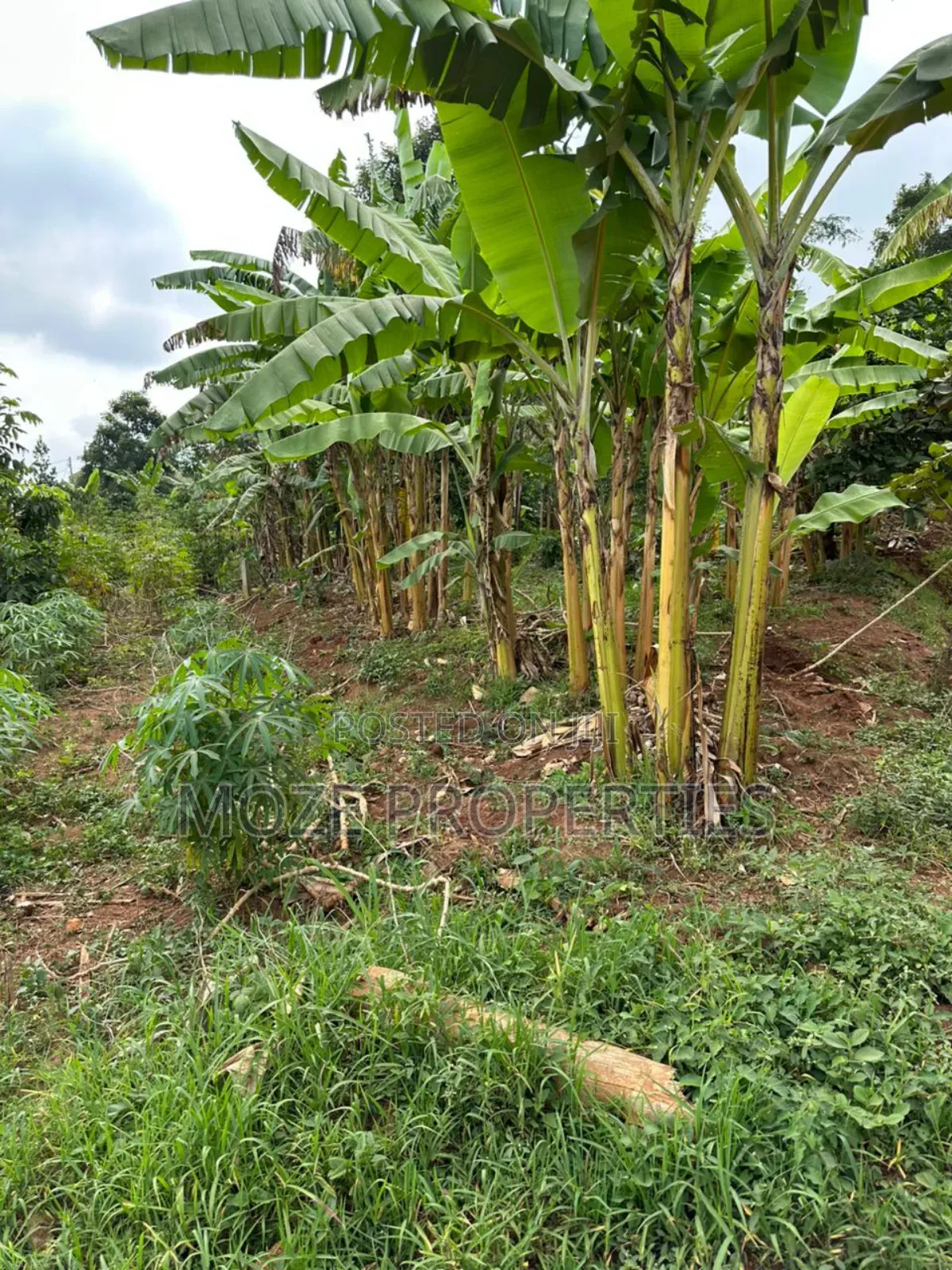 50x100 Plot for Sale in Namugongo Misindye. in Central Division
