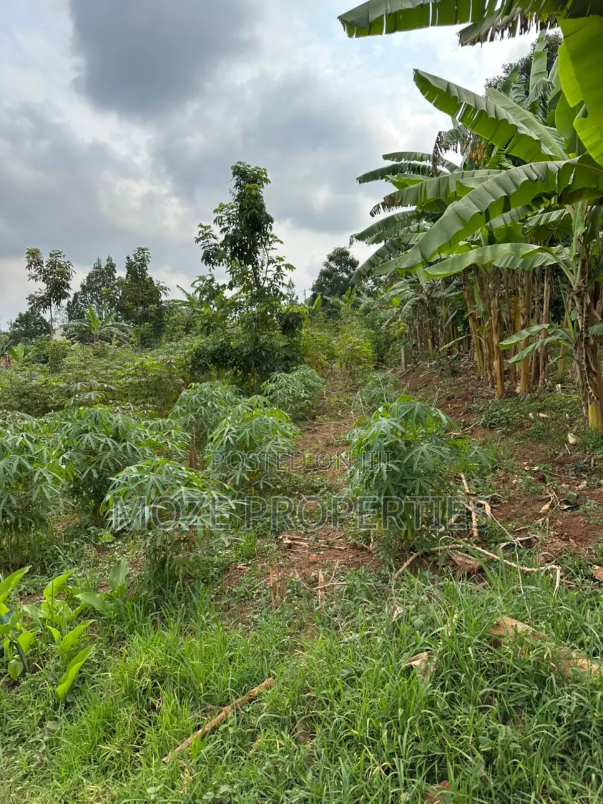50x100 Plot for Sale in Namugongo Misindye. in Central Division