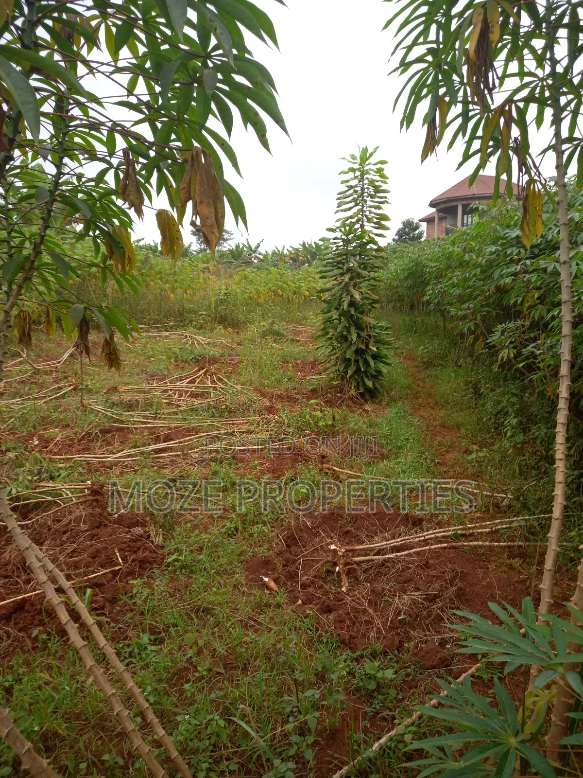 Namugongo Nabusugwe 50x100 Plot for Sale. in Central Division
