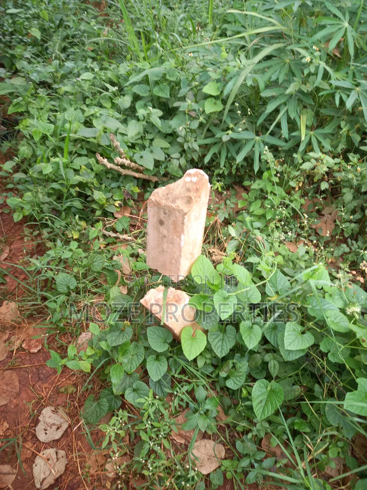 Namugongo Nabusugwe 50x100 Plot for Sale. in Central Division