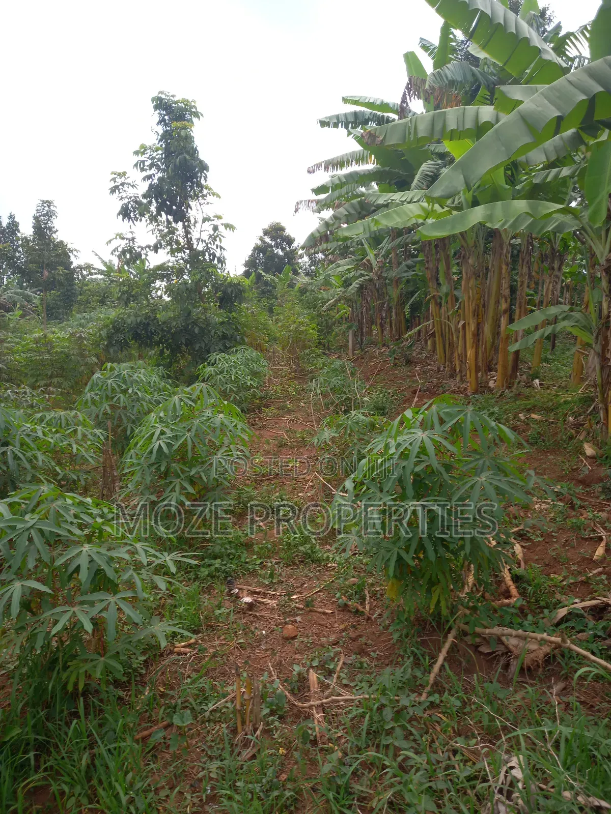 Namugongo Nabusugwe 50x100 Plot for Sale. in Central Division