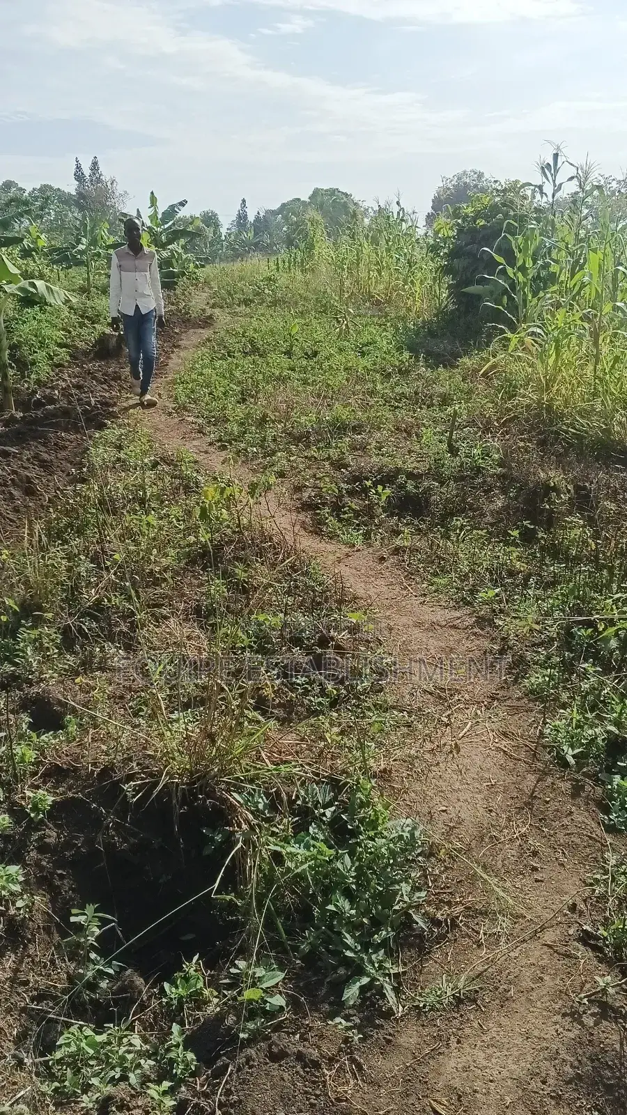 Prime Plots In Mukono Kikandwa (Kayunga Road) in Goma