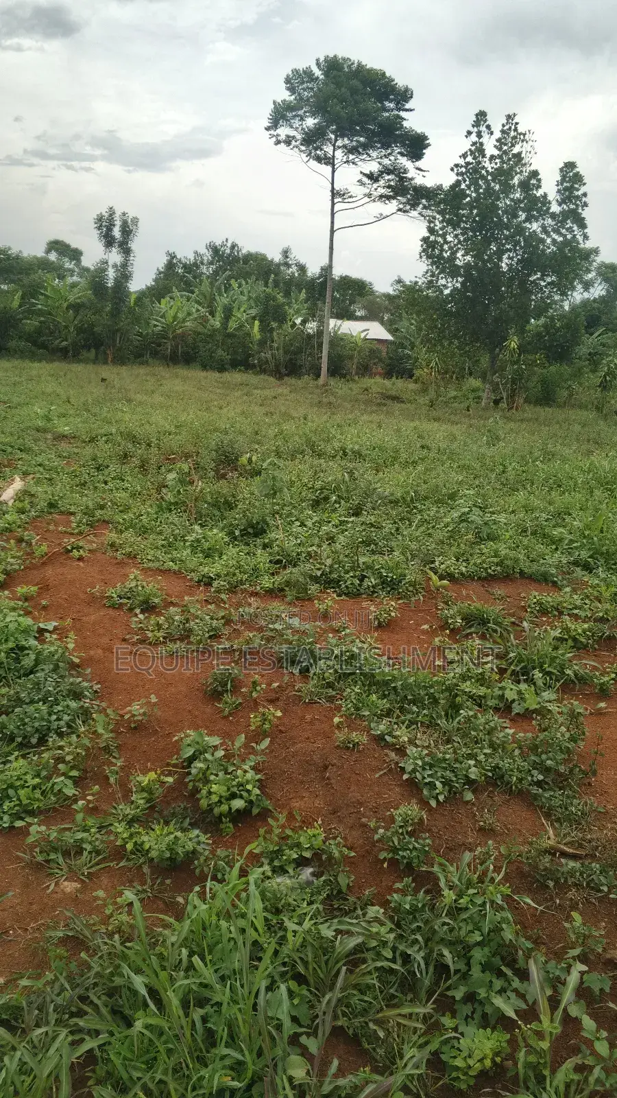 Plot for Sale in Kikandwa, Mukono (Kayunga Road). 50x50 Ft, 2m Only in Kasawo