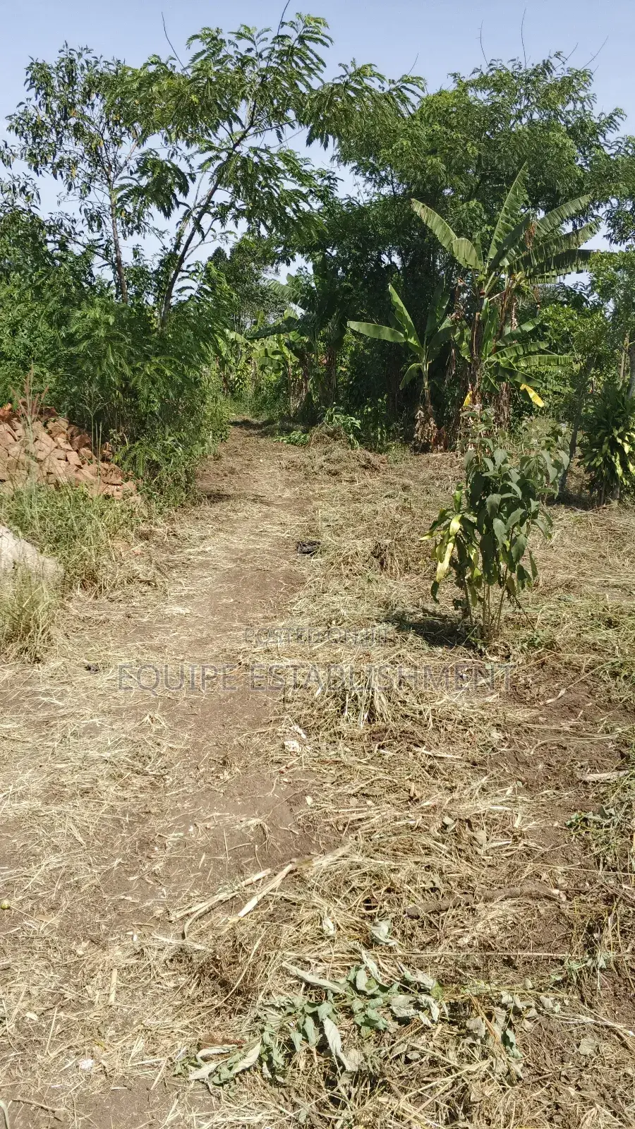 Kibanja In Equipe Estate in Kasawo