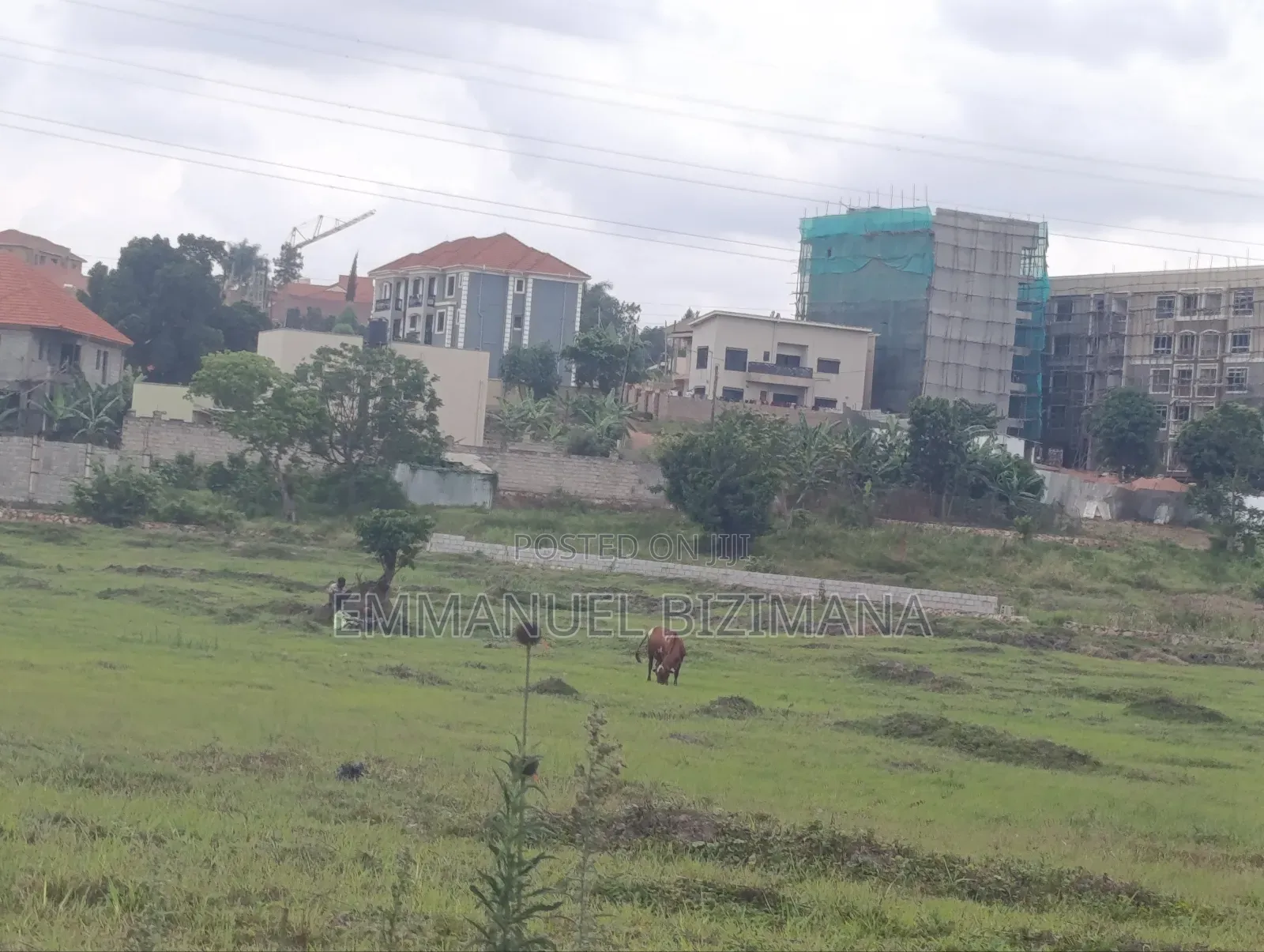 Plot for Sale in Central Division