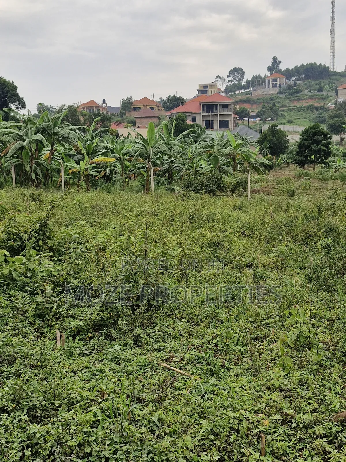 50x100 New Plots for Sale in Sonde. in Central Division