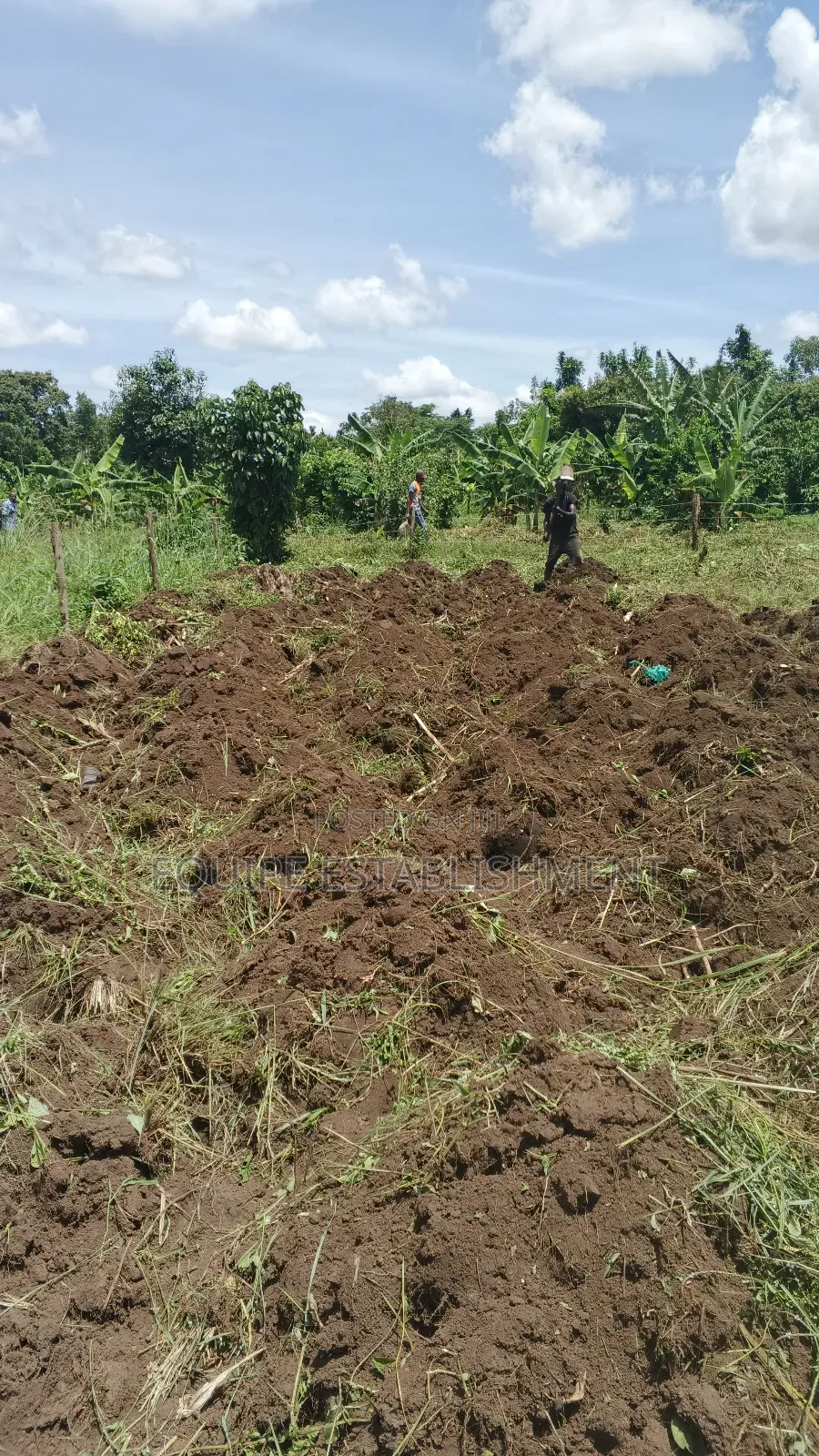 Plot Available Kikandwa in Estate in Kasawo