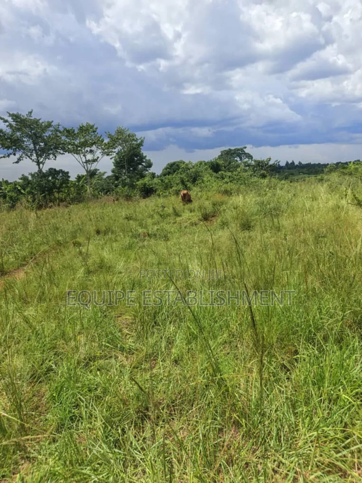 Plot Available Kikandwa Mukono in Kasawo