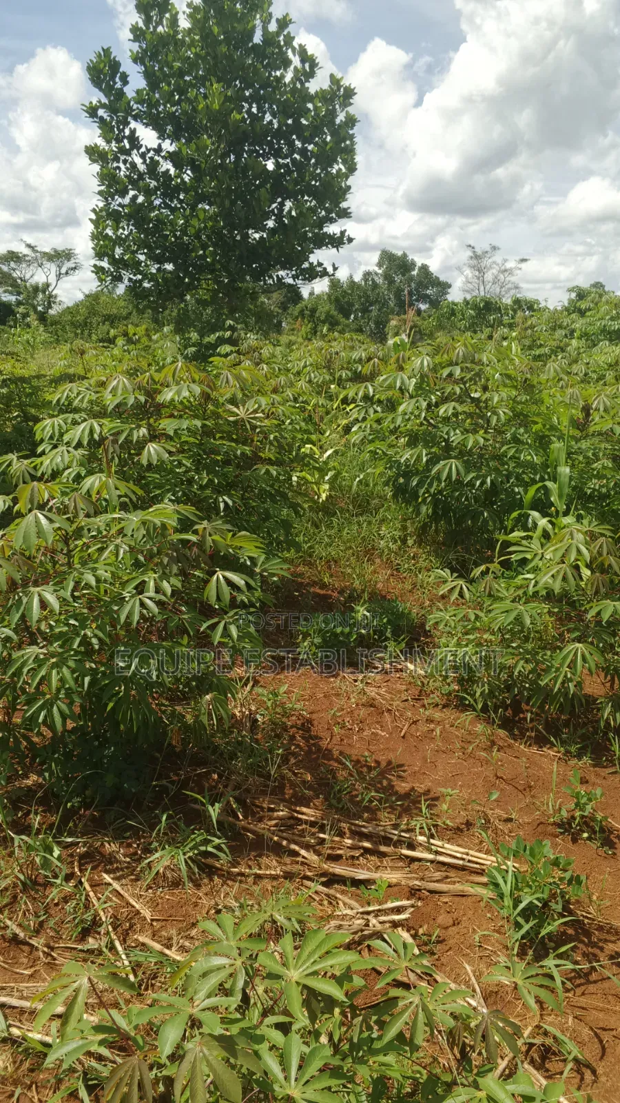 Plot's Available Kikandwa Mukono Kayunga Road in Kasawo