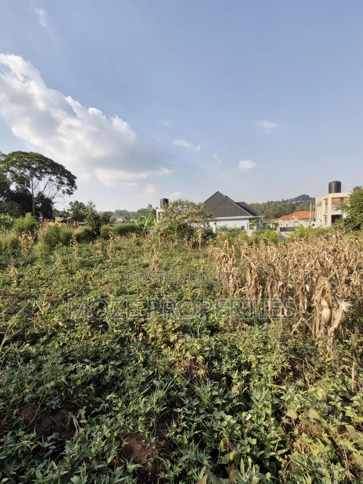Namugongo Nabusugwe 50x100 Plot for Sale in Central Division