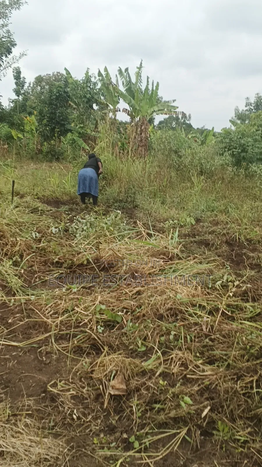 Kibanja Kikandwa Mukono in Kasawo
