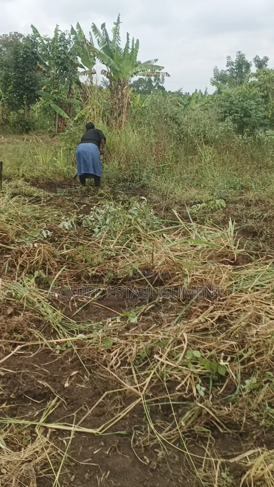 Kibanja Kikandwa Mukono in Kasawo