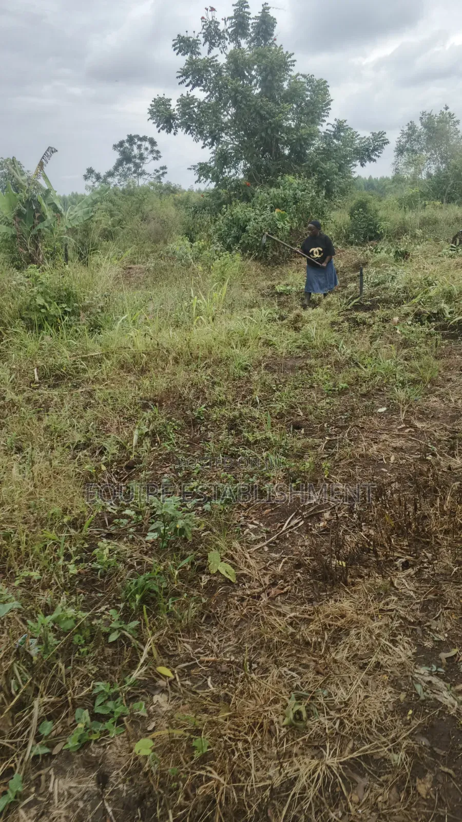 Kibanja Kikandwa Mukono in Kasawo