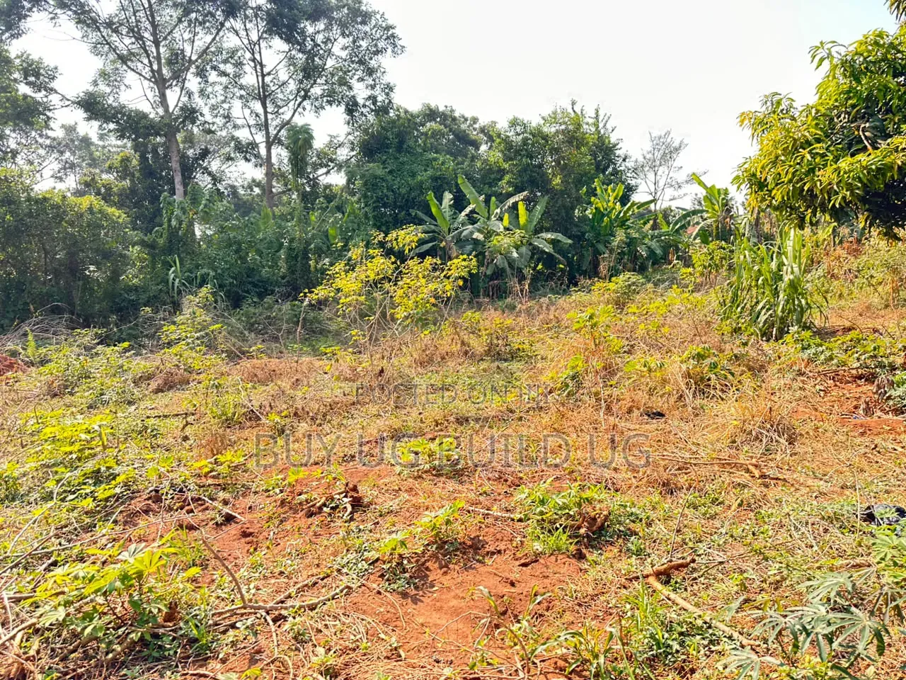 Kira Mamerito Road 25 Decimals Plot of Land for Sale 350m in Central Division