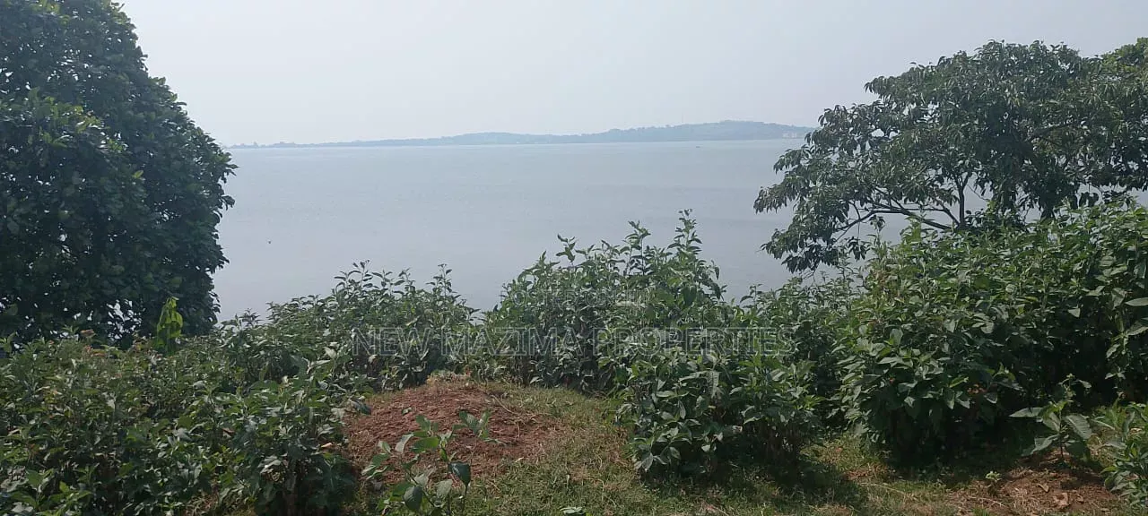 Two Acres Measuring Direct From Lake on Quicksale in Nkumba Kasanyi in Central Division