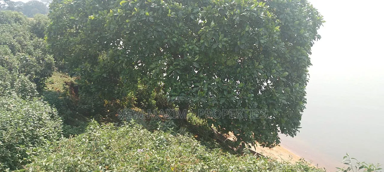 Two Acres Measuring Direct From Lake on Quicksale in Nkumba Kasanyi in Central Division