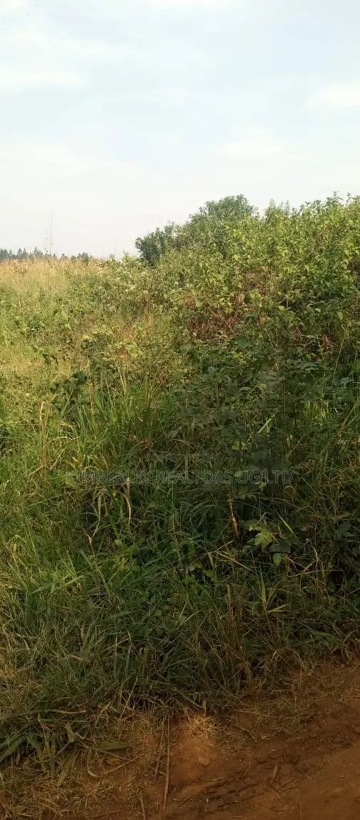 Land for Sale – Ntinda Kissasi Road in Central Division