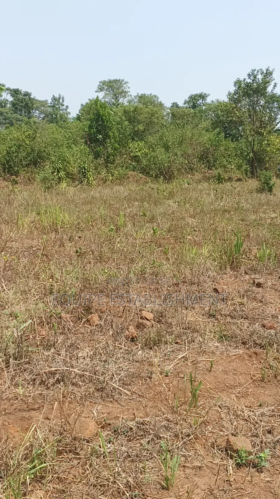 Kibanja Kikandwa in Kasawo