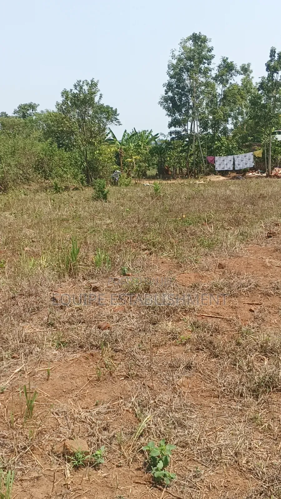 Kibanja Kikandwa in Kasawo