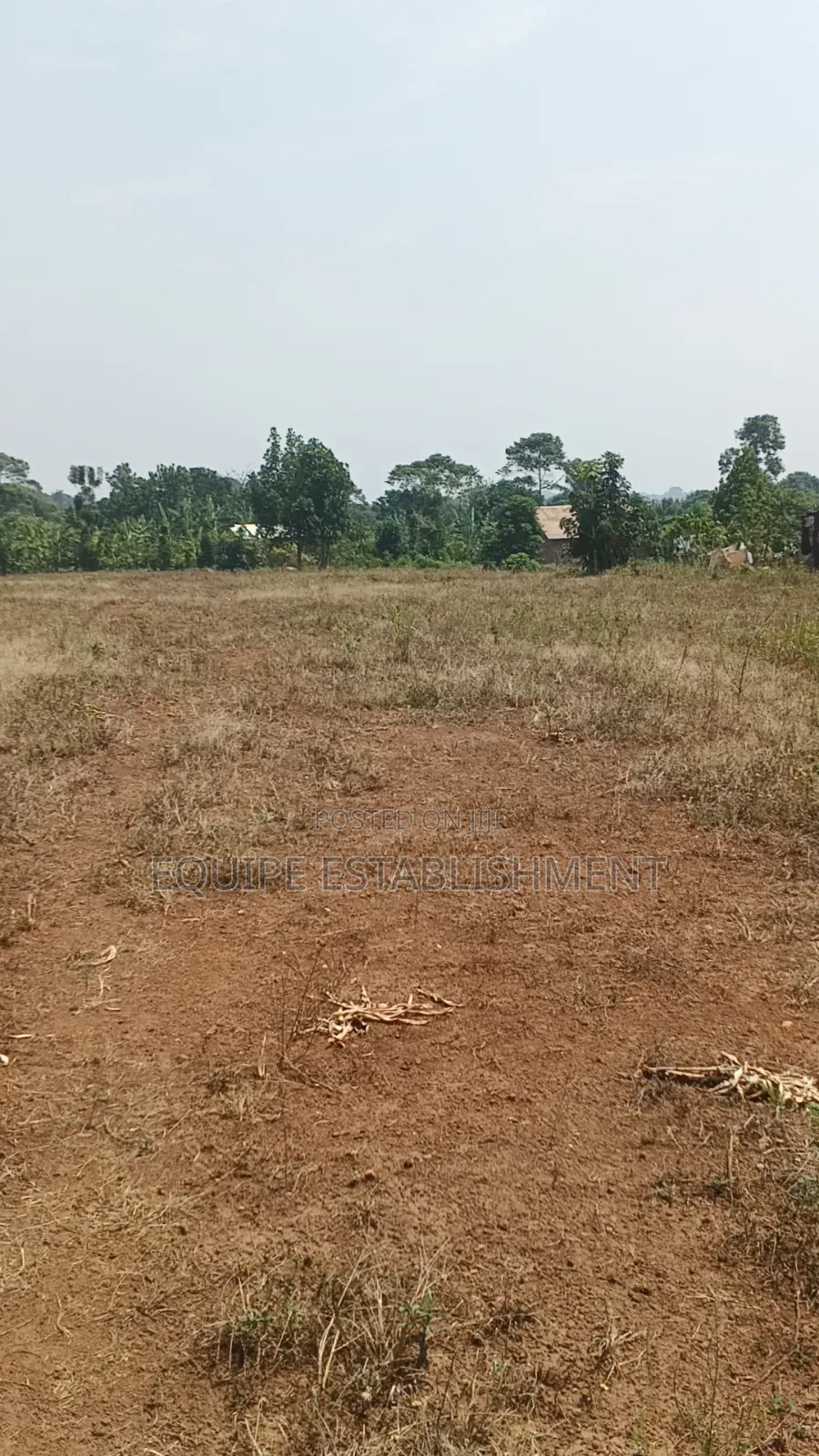 Kibanja Kikandwa Mukono Kayunga Road in Kasawo