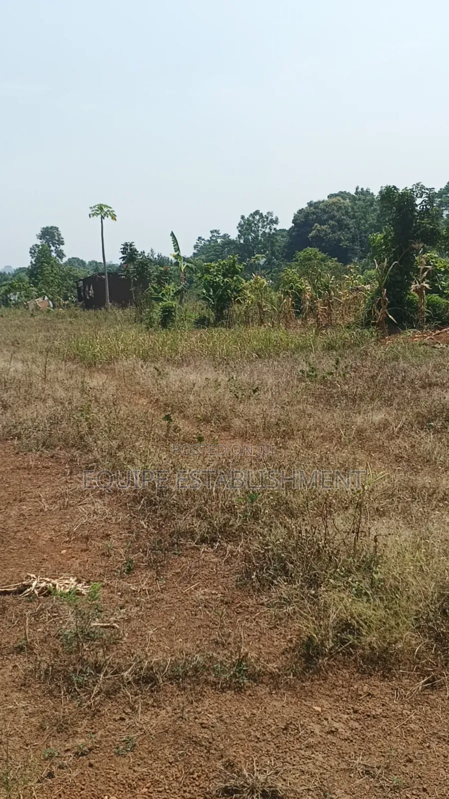 Kibanja Kikandwa Mukono Kayunga Road in Kasawo