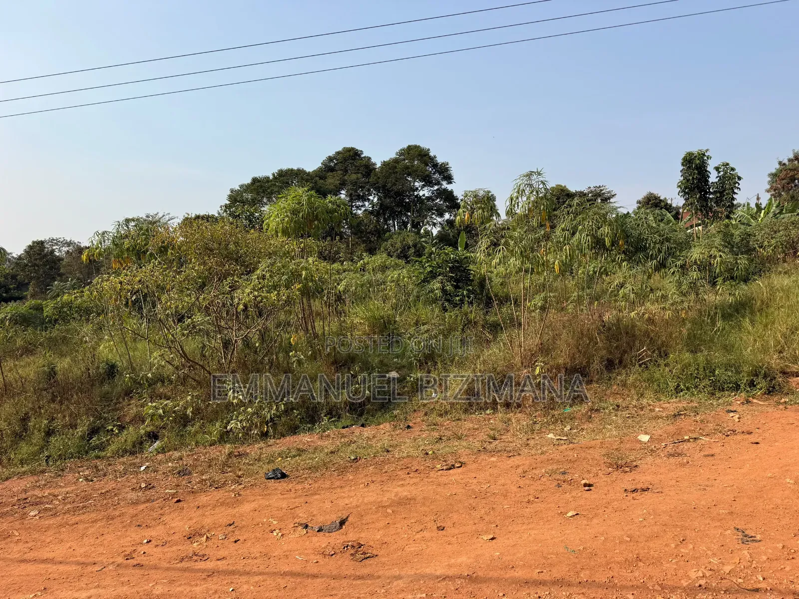Plot on Quick Sale in Central Division