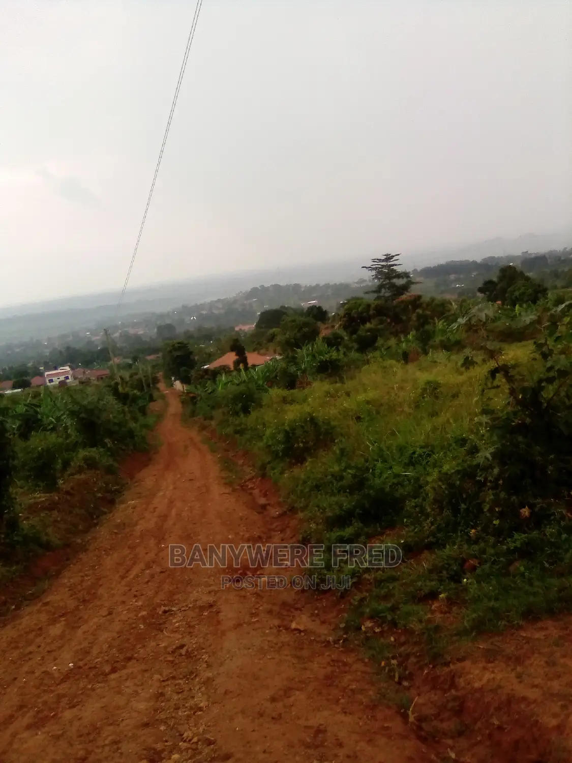 50/100 Plot for Sale in Nyenga in Seeta-Namuganga