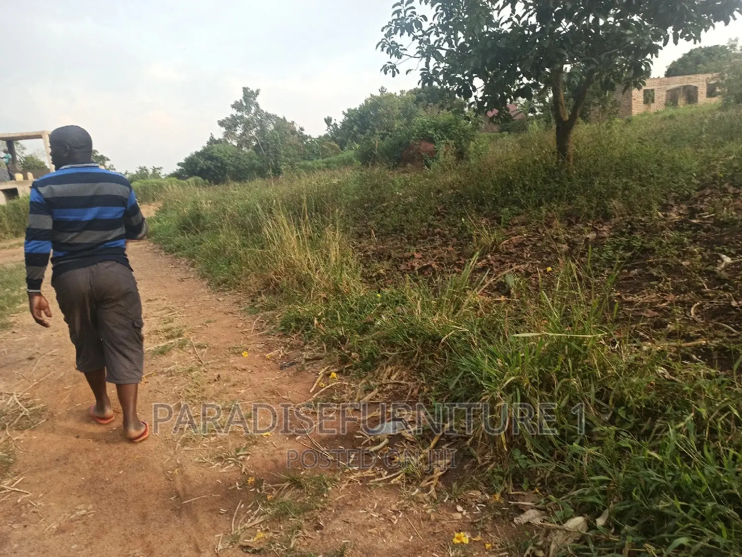 Plot on Sale 50*100ft 8.5m in Busukuma