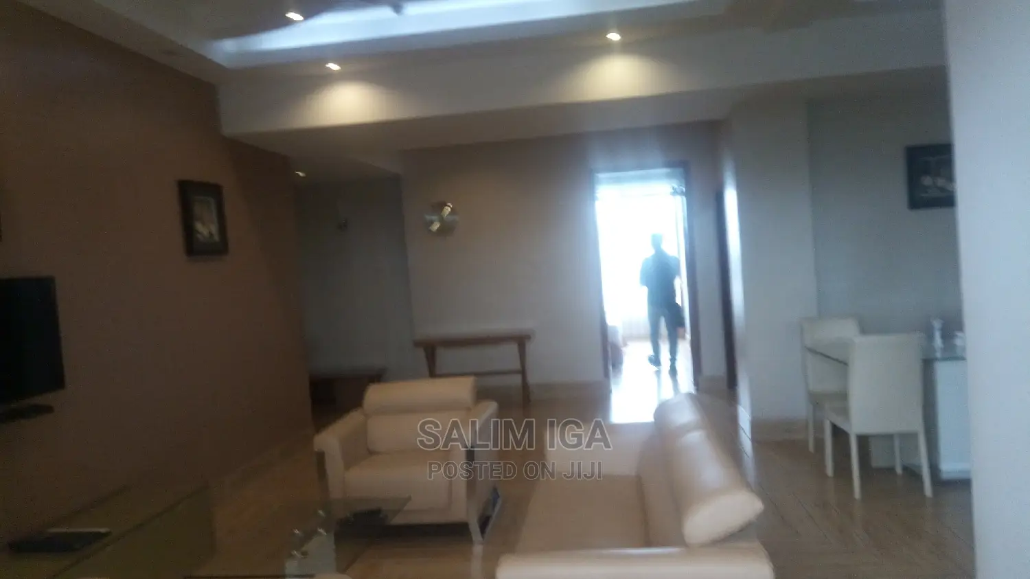 Furnished 2bdrm Block of Flats in Kololo Property, Central Division in Central Division