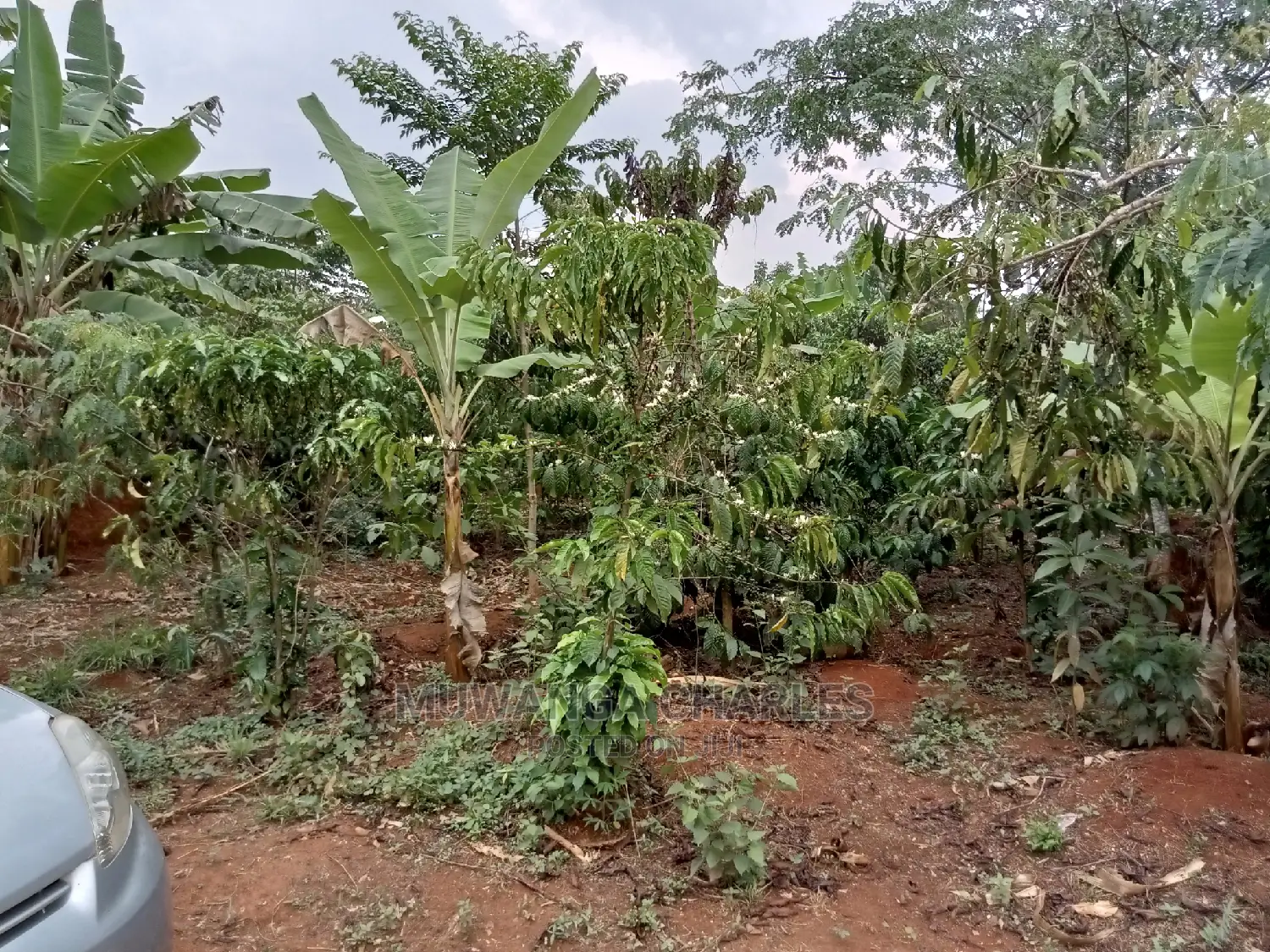 2acres for Sale in Kikyusa in Central Division