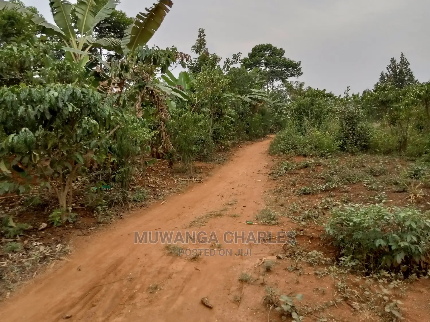 2acres for Sale in Kikyusa in Central Division