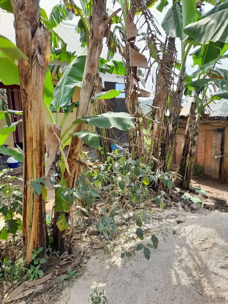 15decimals for Sale in Bukoto in Central Division