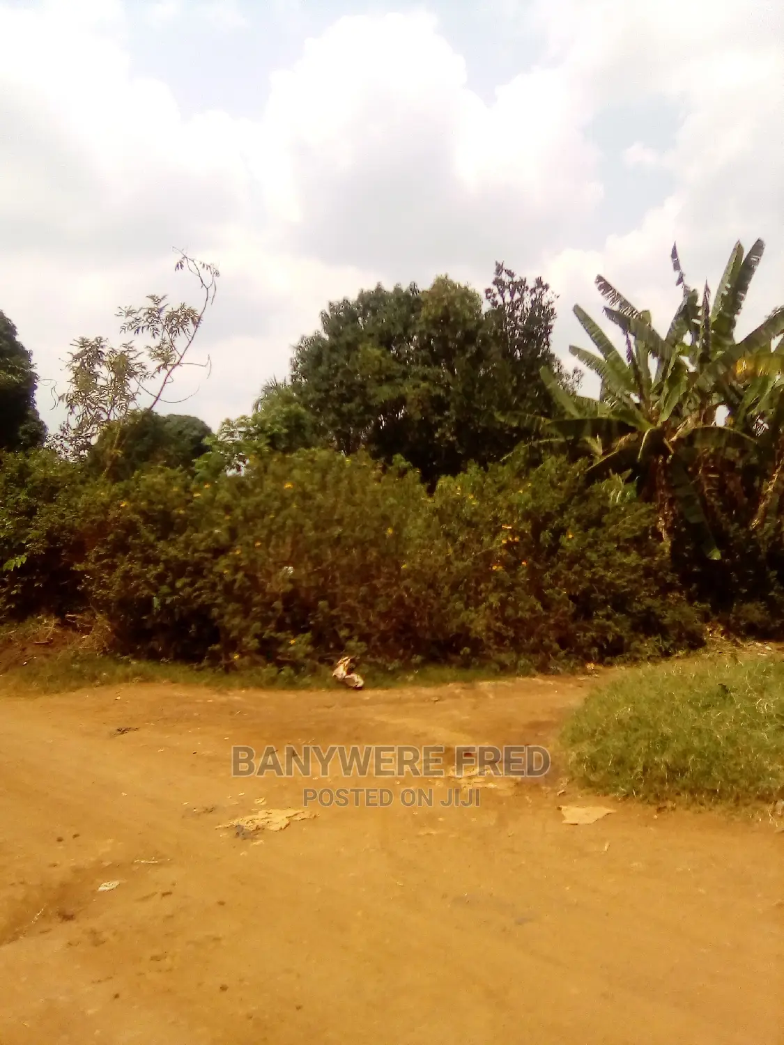 50/100 Plot for Sale in Katizi in Kyampisi