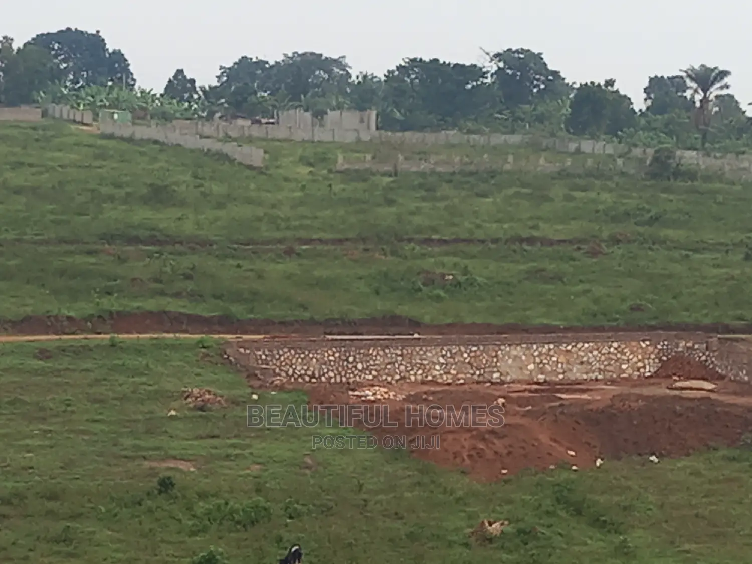 Prime 100*100 in Kasangati Fenced Estate on Sell in Nangabo