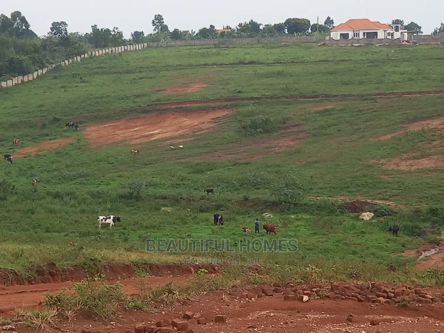 100*100 in Kasangati Gated Neigborhood,Quicksell in Nangabo