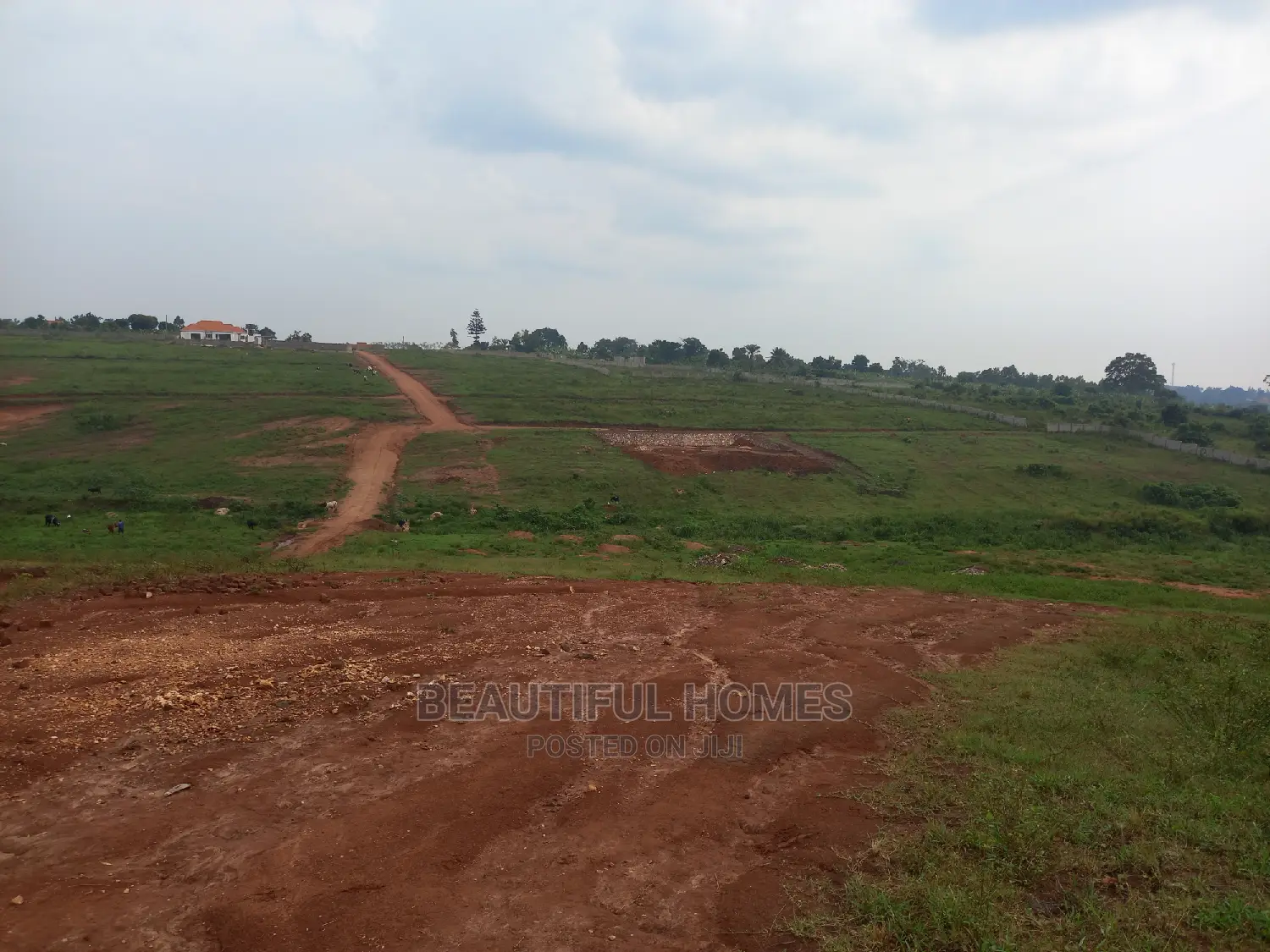 Kasangati 100*100 in Being Tarmacked Estate in Nangabo