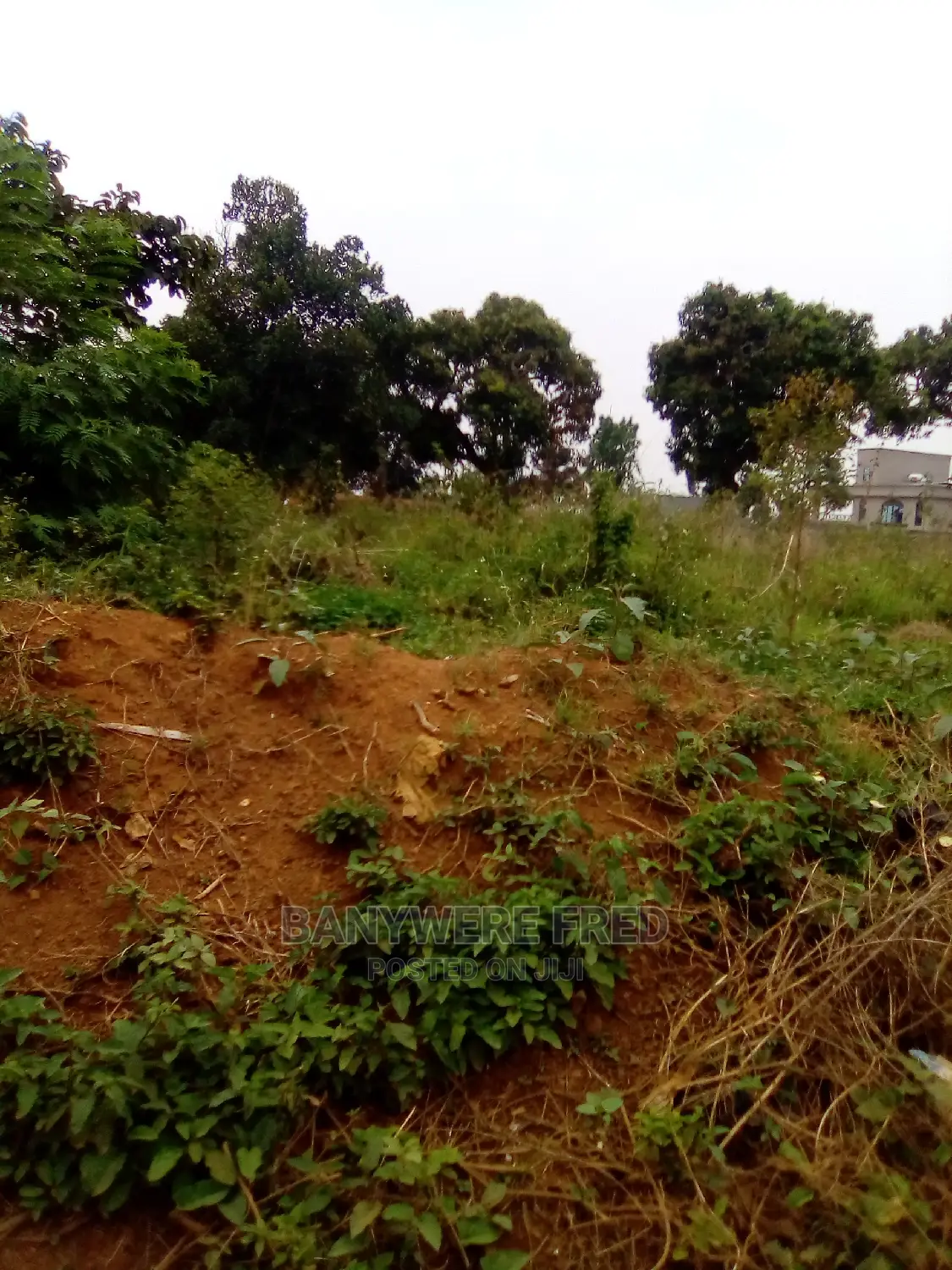50/100 Plot for Sale in Mawagala Tranding Centre in Goma