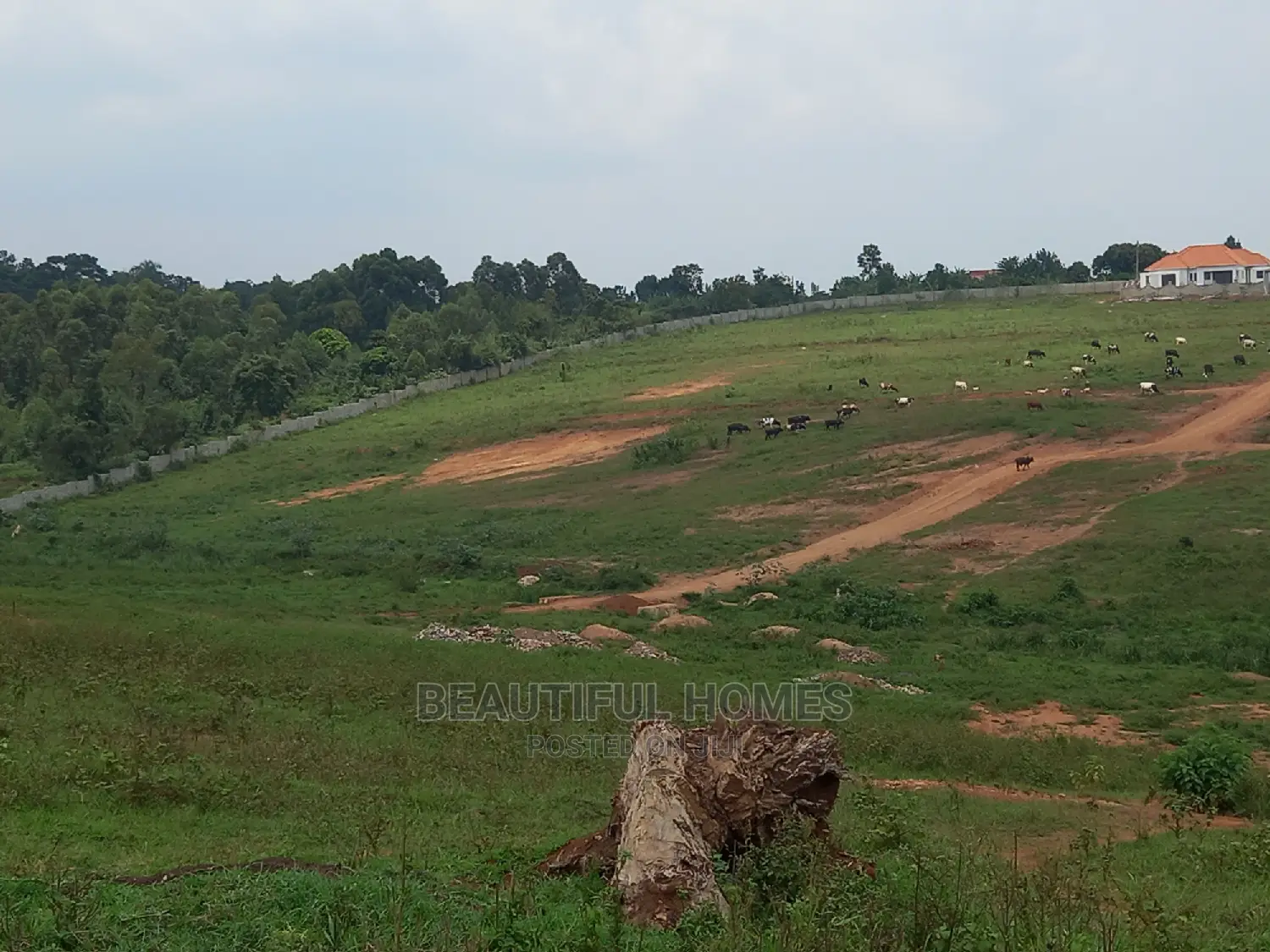 Two Plots at Kasangati Gated Prime Estate in Central Division