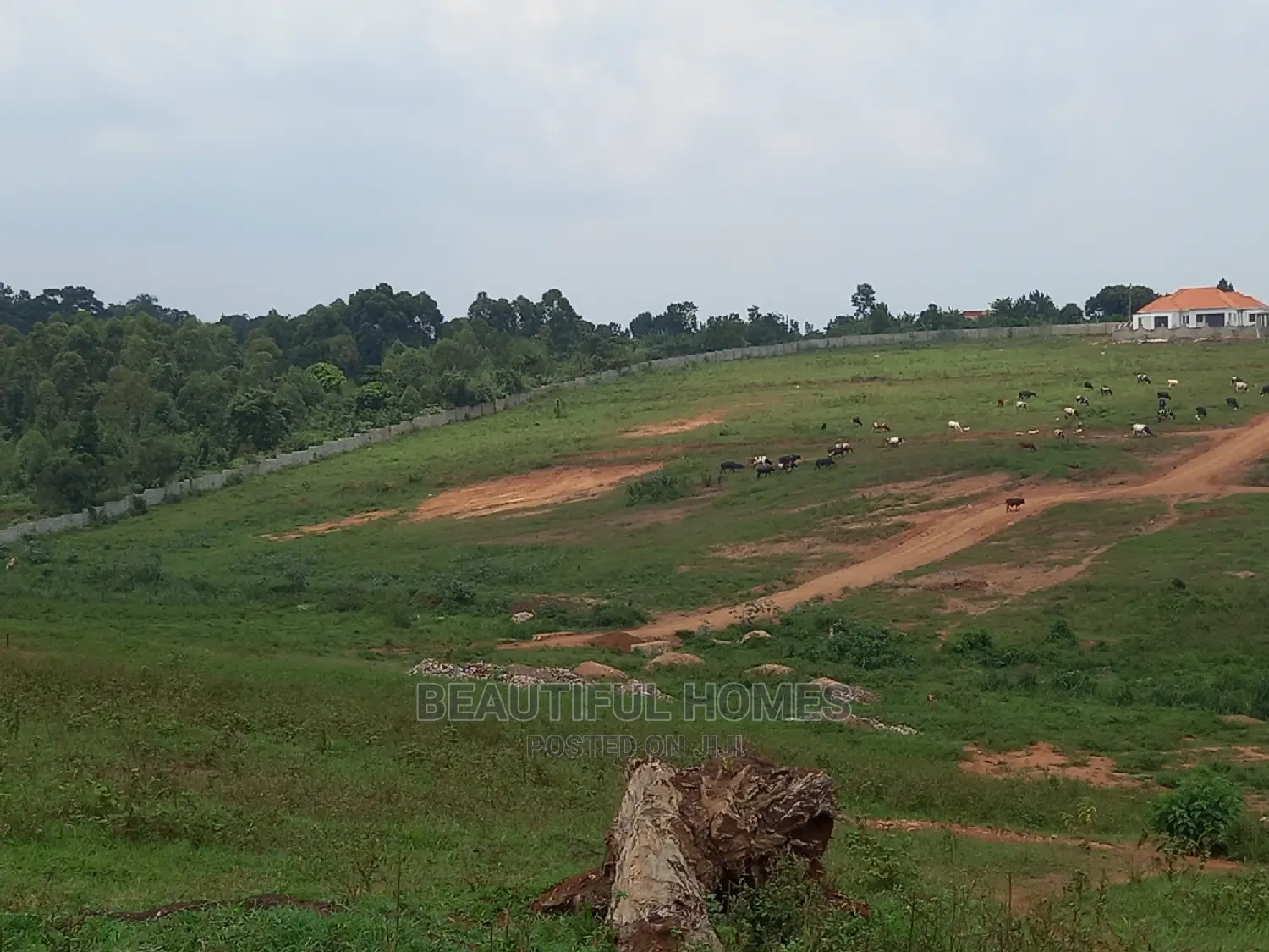 Kasangati Nice 2 Plots Gated Area on Sell in Central Division
