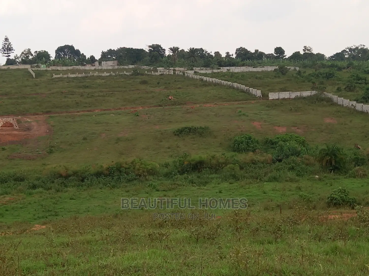 100 ×100 in Kasangati Gated Neighborhood in Central Division